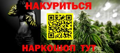 мдпв Гатчина