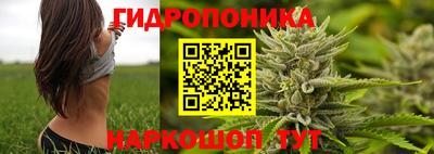 соль ск Гай
