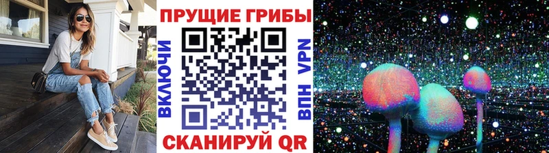 Галлюциногенные грибы Magic Shrooms  Ижевск 