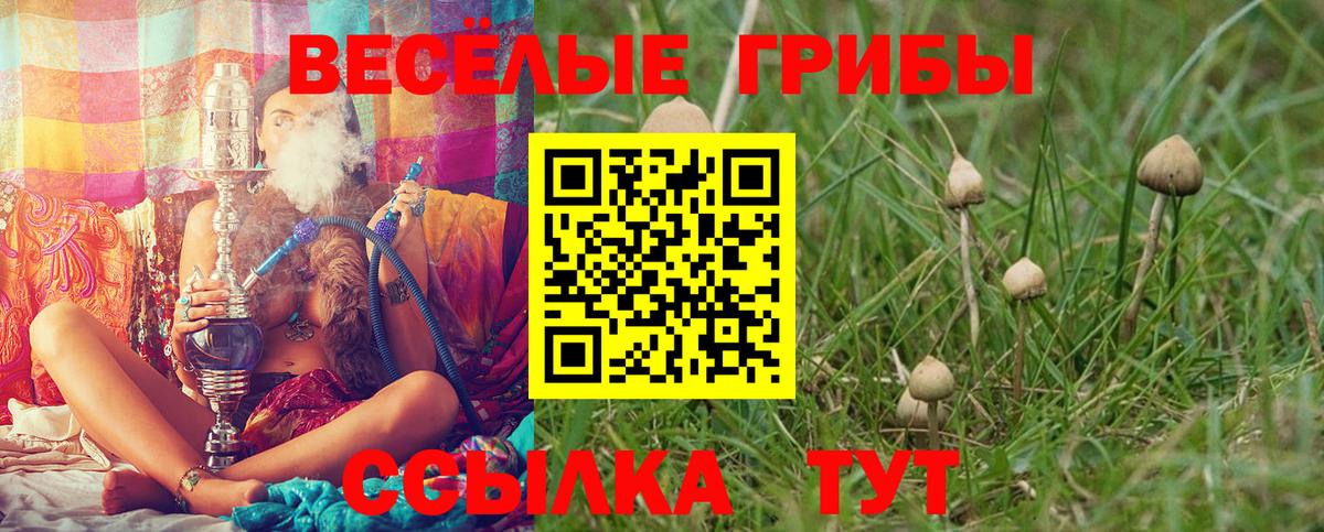 Псилоцибиновые грибы ЛСД Ижевск