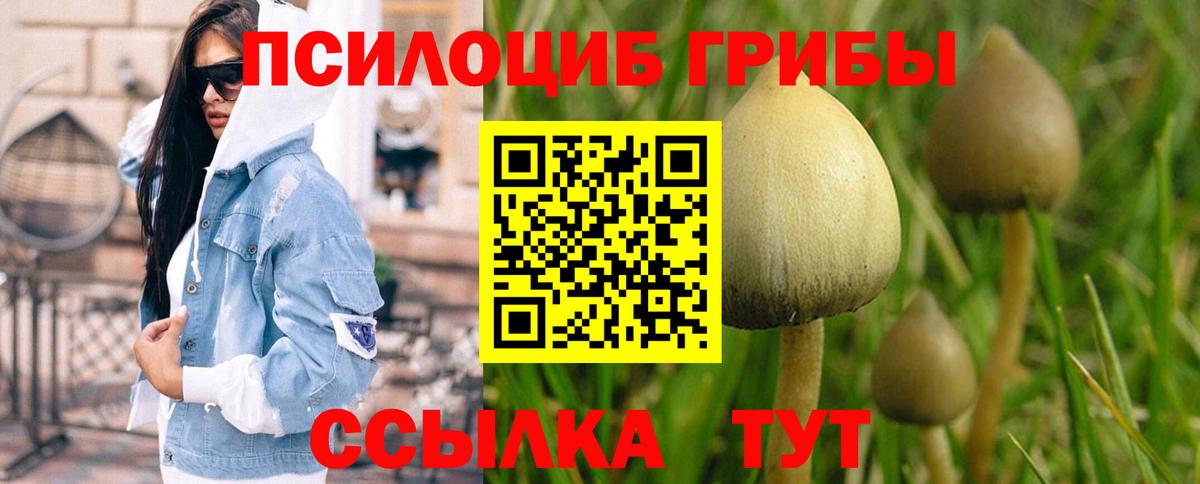 Псилоцибиновые грибы мухоморы  Вход с VPN  Ижевск 