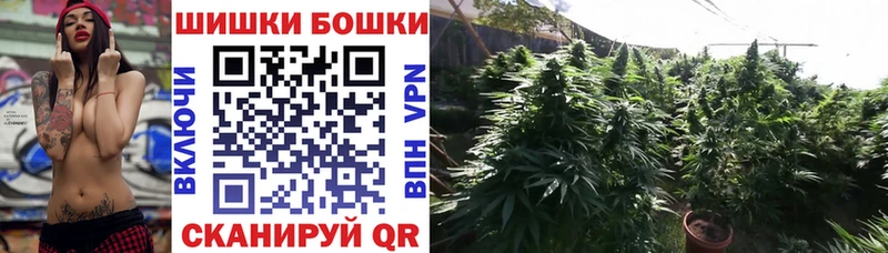 Бошки марихуана марихуана  продажа наркотиков  Ижевск 